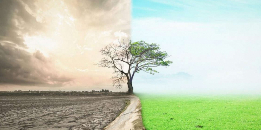 ISO 14001 Çevre Yönetim Sistemi Danışmanlığı